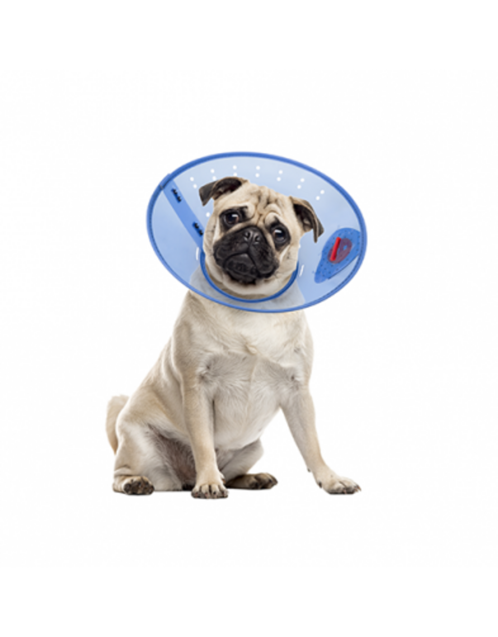 Acorn Pet Products Acorn Collier Elisabethain Calm Paws / E-Collar/ S