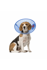 Acorn Pet Products Acorn Collier Elisabethain Calm Paws / E-Collar/ M