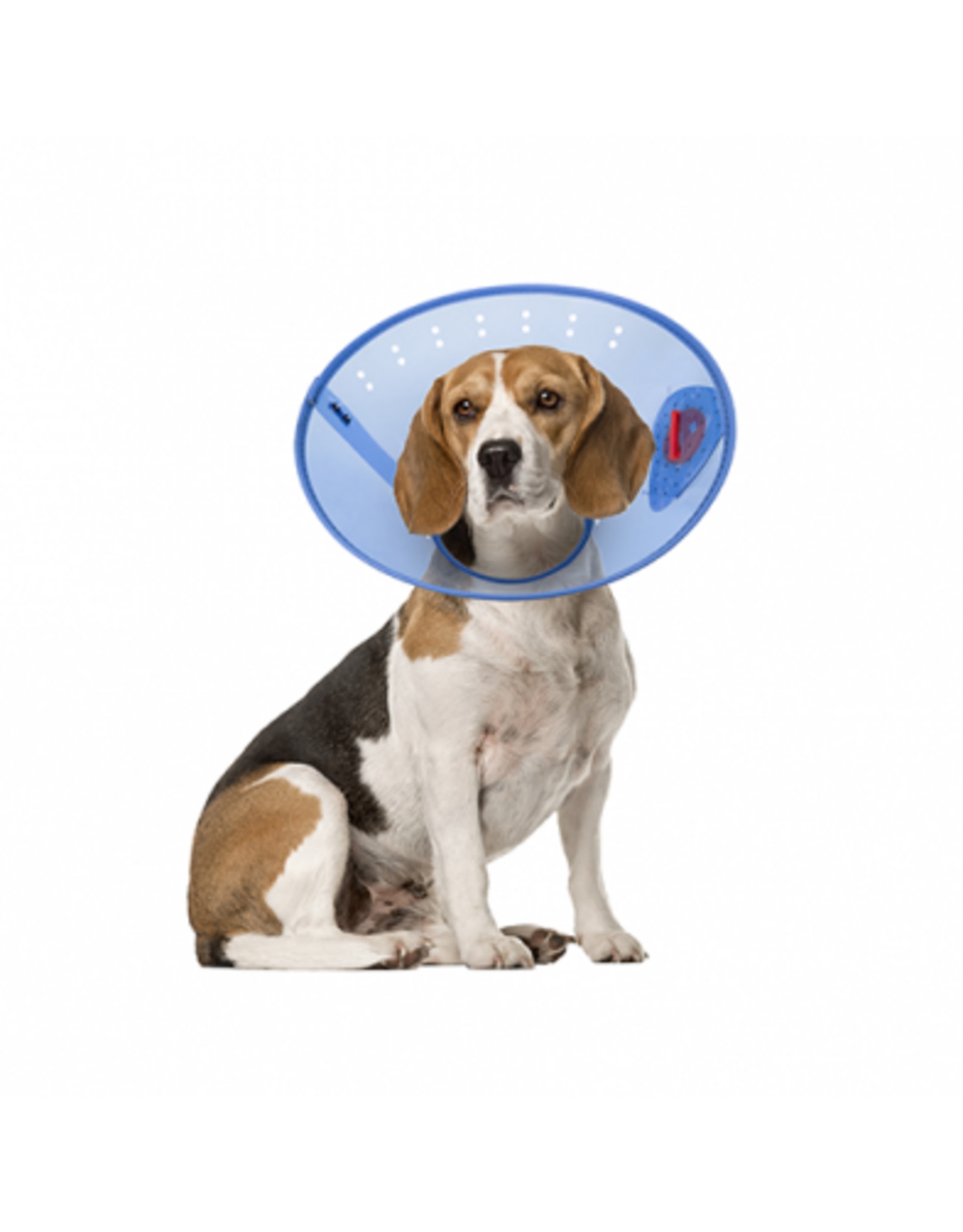 Acorn Pet Products Acorn Collier Elisabethain Calm Paws / E-Collar/ M