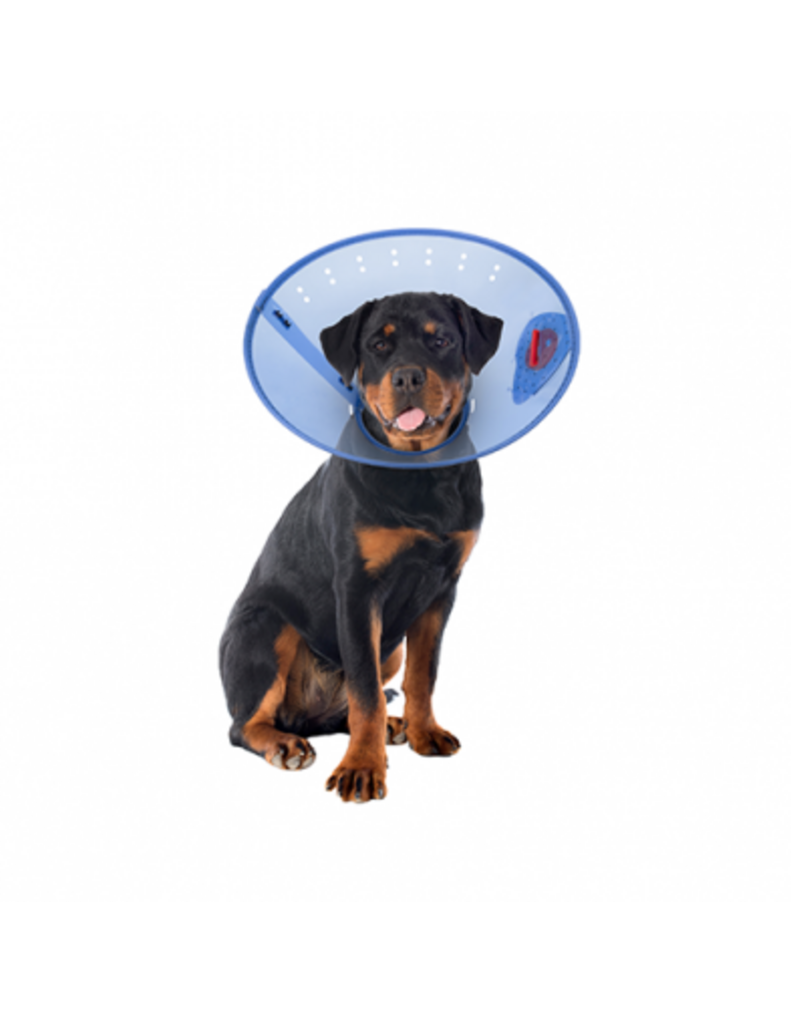 Acorn Pet Products Acorn Collier Elisabethain Calm Paws / E-Collar/ L