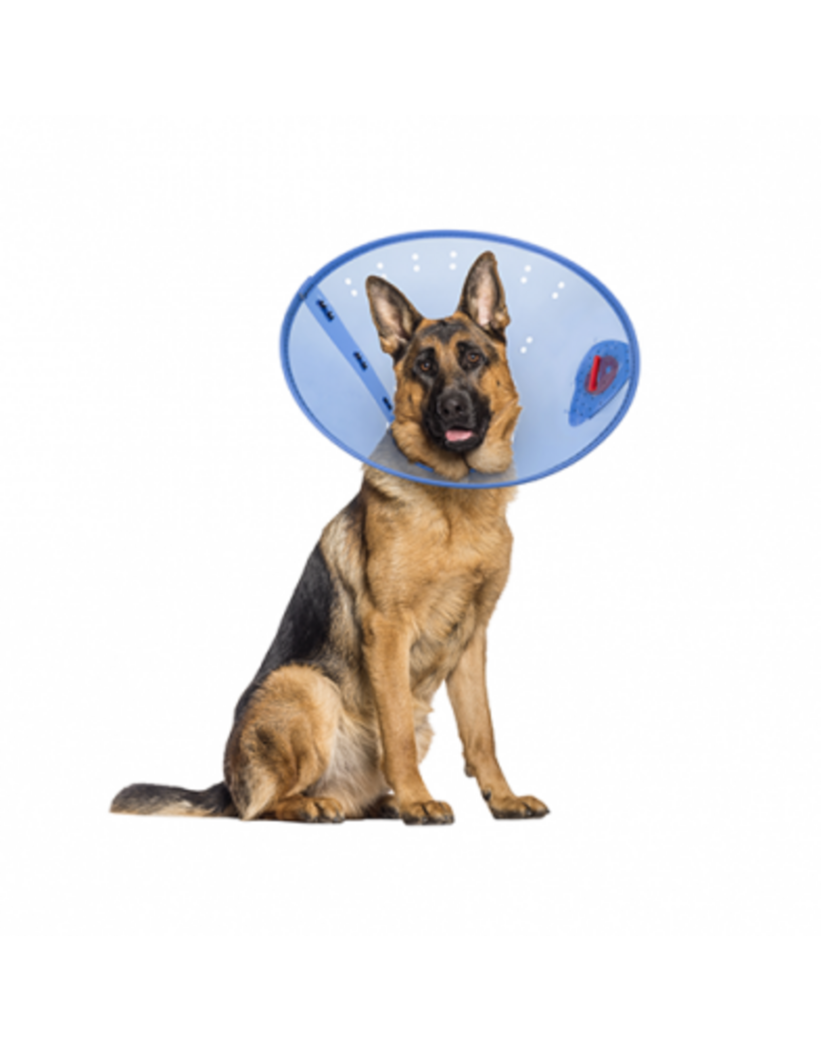 Acorn Pet Products Acorn Collier Elisabethain Calm Paws / E-Collar/ XL
