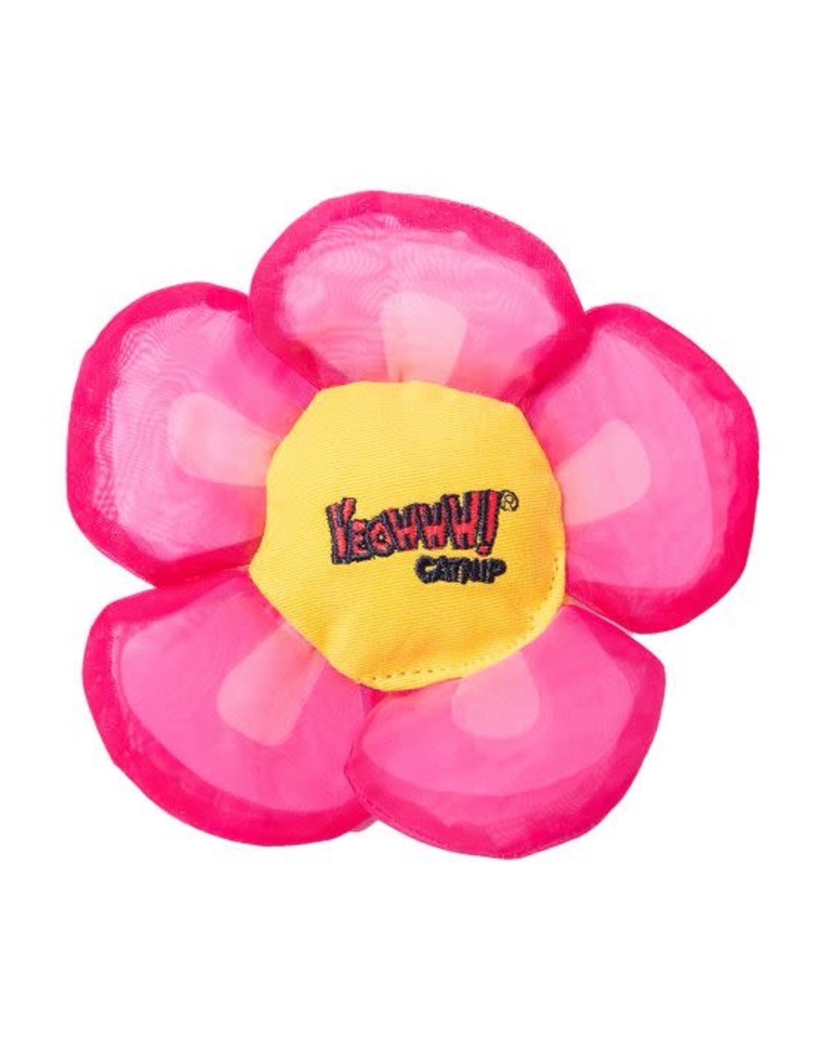 Ducky Wold Ducky World Marguerite rose