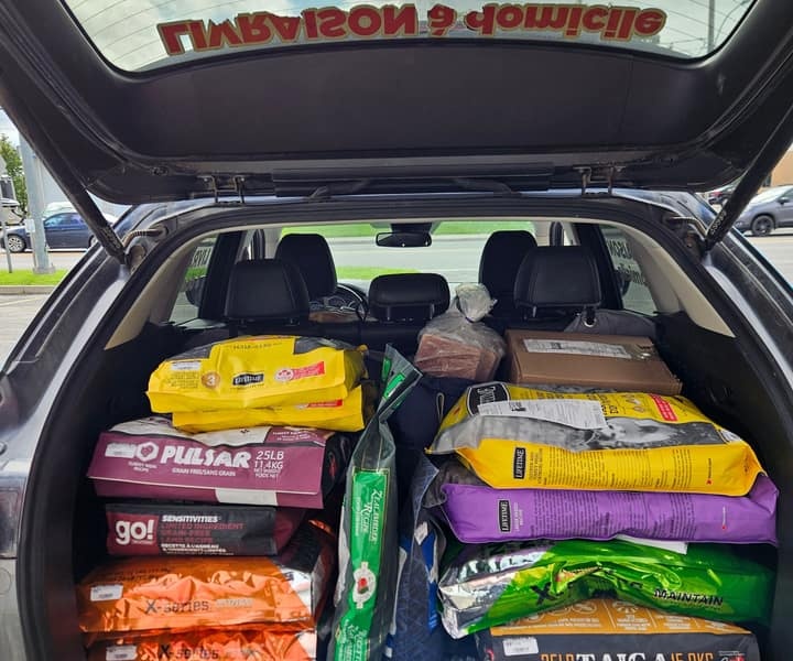 Coffre de voiture rempli de sacs de nourriture pour animaux, avec l'inscription Livraison à domicile