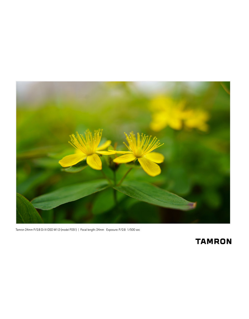 Tamron Tamron 24mm F/2.8 for Sony E Mount