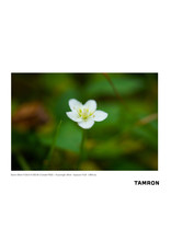 Tamron Tamron 35mm F/2.8 for Sony E Mount