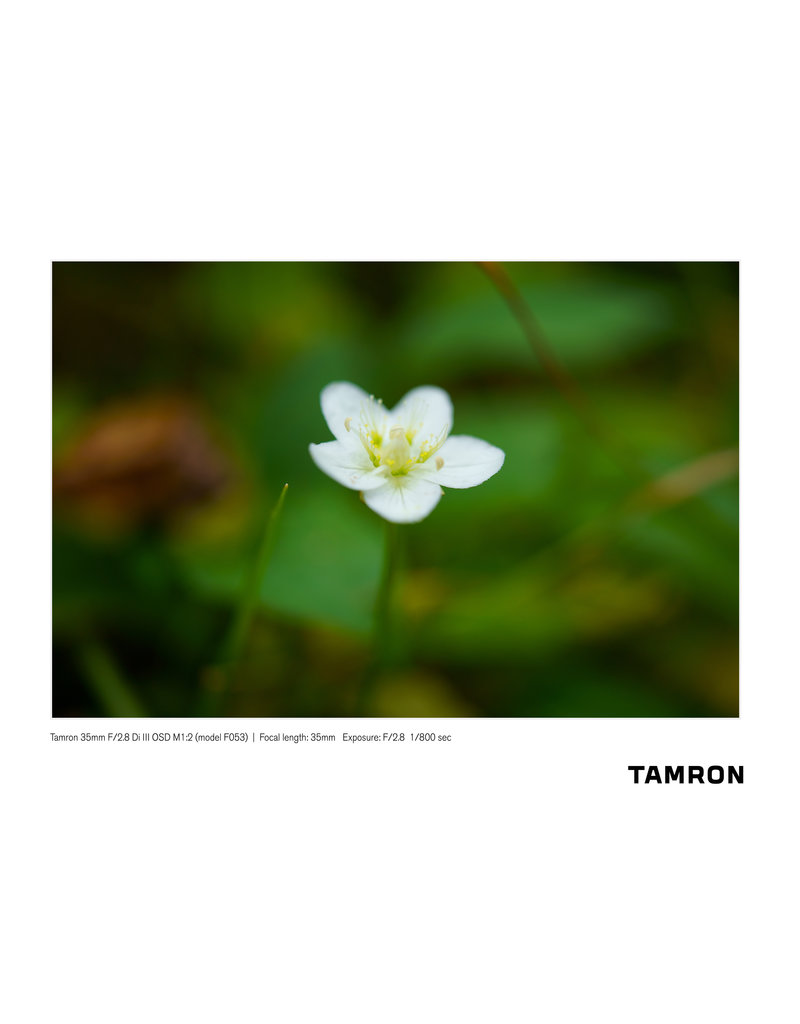 Tamron Tamron 35mm F/2.8 for Sony E Mount