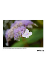 Tamron Tamron 35mm F/2.8 for Sony E Mount