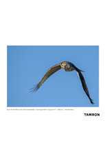 Tamron Tamron SP 150-600mm F/5-6.3 Di VC USD G2 for Nikon