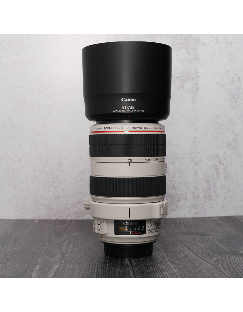Canon Used Canon EF 70-300mm f/4-5.6 L IS USM w/Collar and RRS Foot