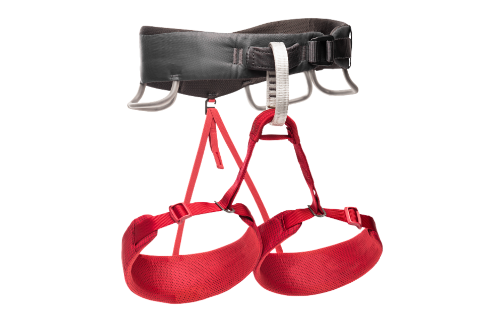 Women Momentum Harness