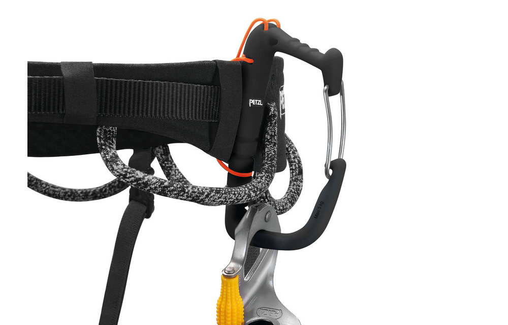 Hirundus Harness
