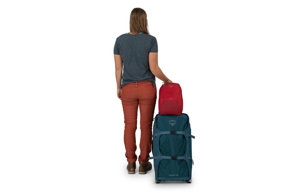Daylite Cinch