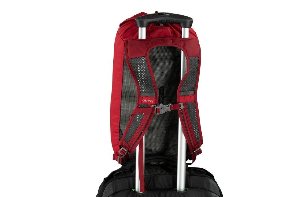Daylite Cinch