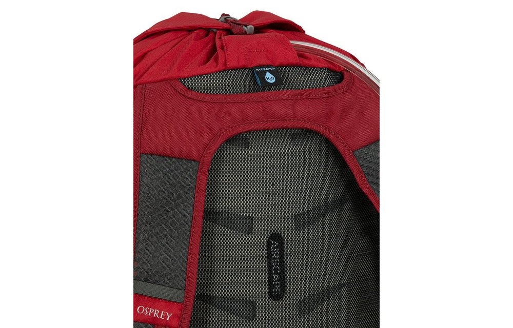 Daylite Cinch
