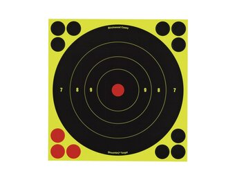 Birchwood Casey Target 34825