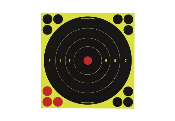 Birchwood Casey Target 34825