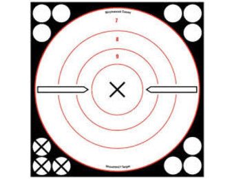Birchwood Casey 34802 White/Black Bull's-Eye X 6 Targets