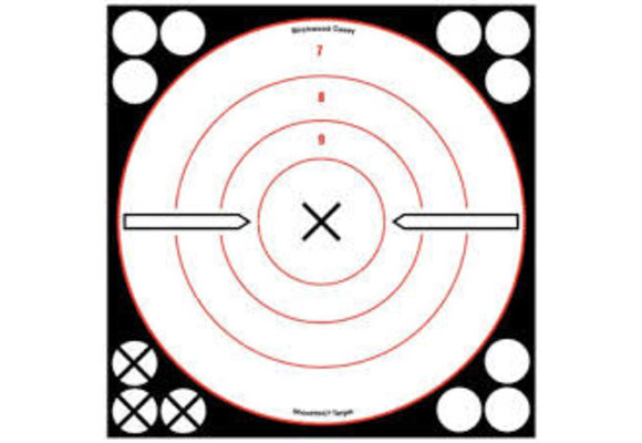 Birchwood Casey 34802 White/Black Bull's-Eye X 6 Targets