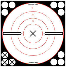 Birchwood Casey 34802 White/Black Bull's-Eye X 6 Targets