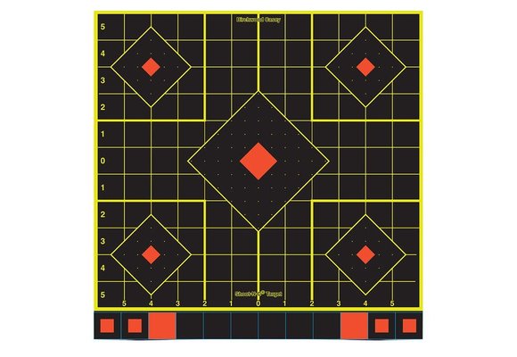 Birchwood Casey Target 34207
