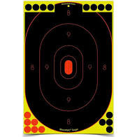 Birchwood Casey 34605