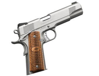 Kimber Stainless Raptor II 10mm (3200386)