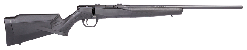 Savage .17HMR B17F (70800)