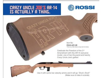 Rossi "Crazy Joe AR-14" .22LR