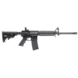 Smith & Wesson Smith & Wesson M&P 15 Sport II 5.56 (10202)