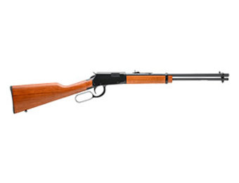 Rio Bravo 22LR 15+1 18" (RL22181WD)