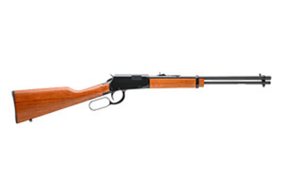 Rio Bravo 22LR 15+1 18" (RL22181WD)