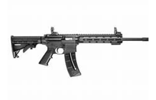 Smith & Wesson M&P15-22 SPORT 22 LR 10208