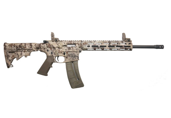 Smith & Wesson M&P15-22 SPORT 22 LR 10211