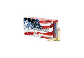 Hornady AMMO 450 BUSHMASTER 245 GR INTERLOCK® AW 82242