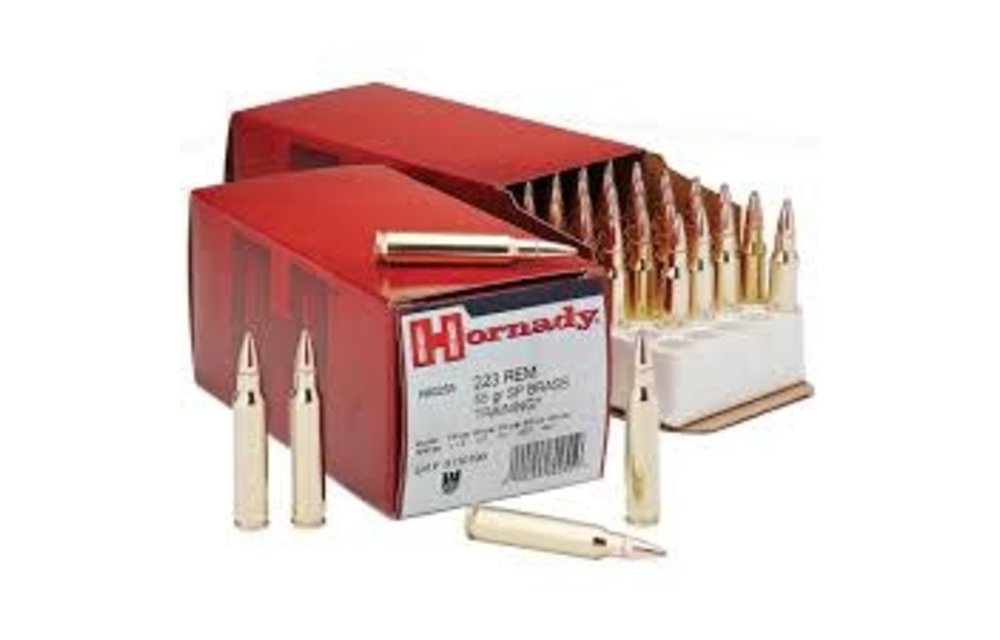 Hornady Custom .223 55Gr Training Soft Point