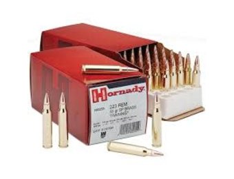 Hornady Custom .223 55Gr Training Soft Point