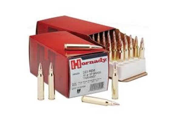 Hornady Custom .223 55Gr Training Soft Point