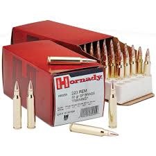 Hornady Custom .223 55Gr Training Soft Point