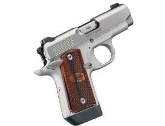 Kimber Micro 9 Stainless Raptor (3300109)