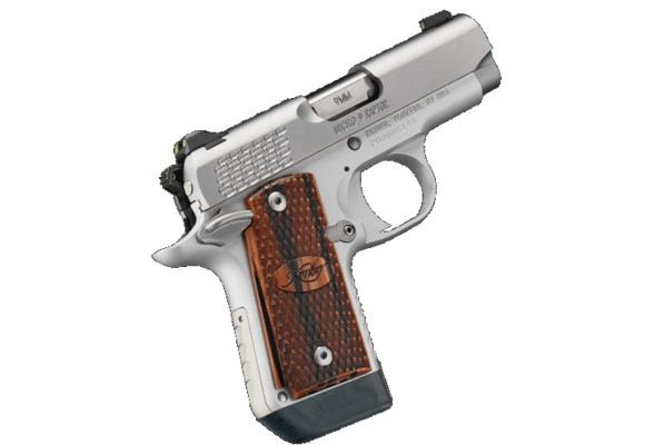 Kimber Micro 9 Stainless Raptor (3300109)