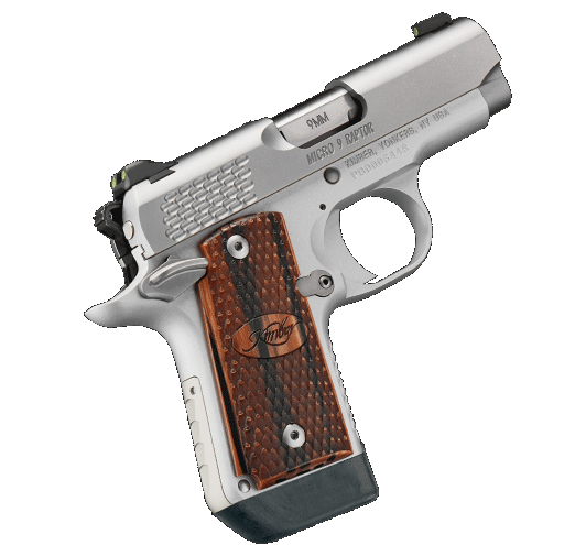 Kimber Micro 9 Stainless Raptor (3300109)