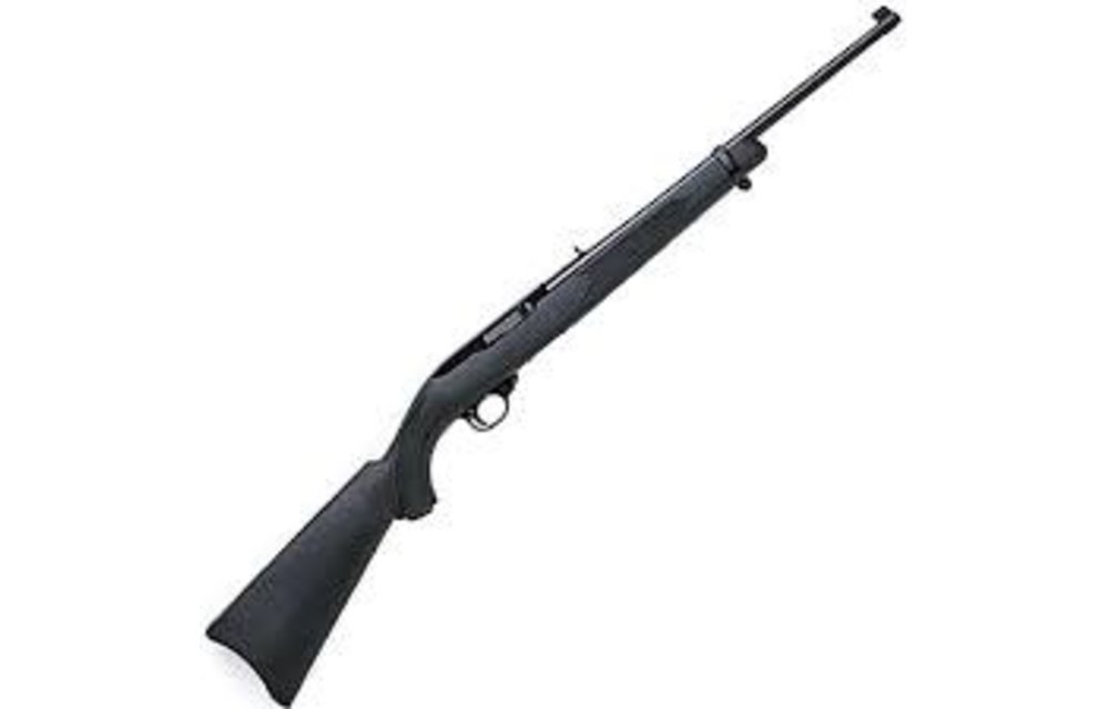 Ruger 10/22 22lrBlack Synthetic 01151