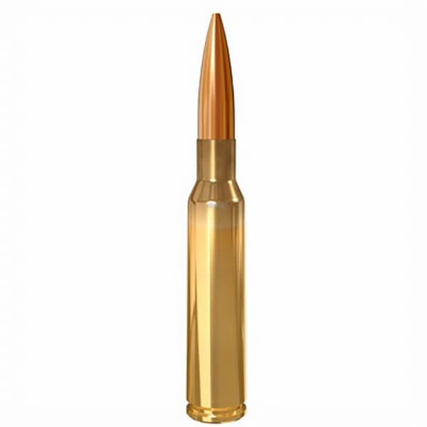 Rifle Ammo
