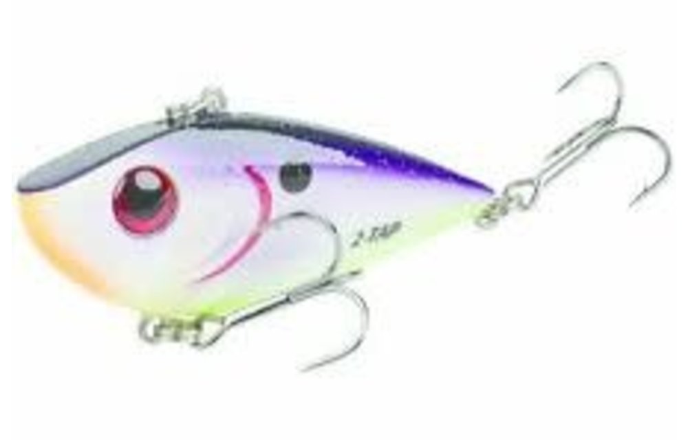 Red Eyed Shad / Royal Purple