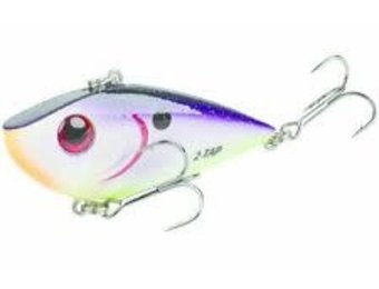 Red Eyed Shad  /  Royal Purple
