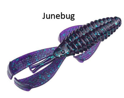 Strike King Rage Bug