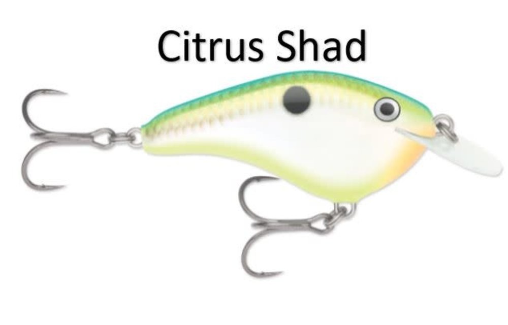 Rapala Ott's Garage Slim 6