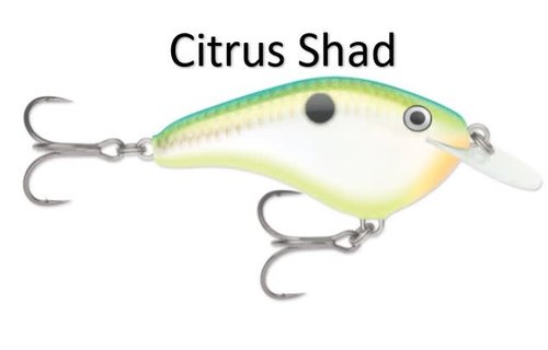 Rapala Ott's Garage Slim 6