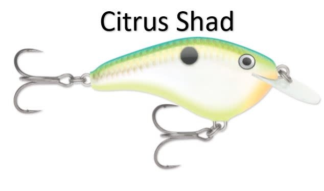 Rapala Ott's Garage Slim 6