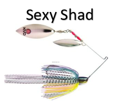 Strike King KVD Finesse Spinnerbait Colorado/Willow